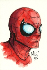Spider-man (Nicholas Hammond)